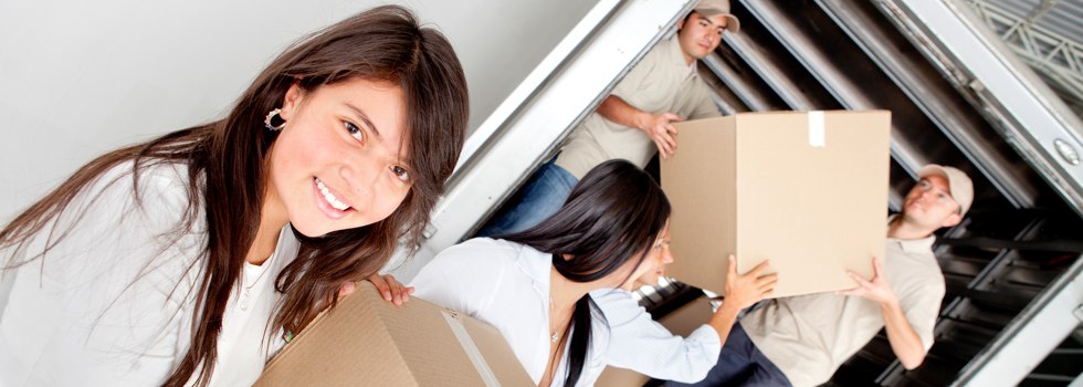 Professional Removalists Downsfield